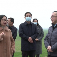 長江委、省水利廳檢查組來枝江檢查河道采砂管理工作