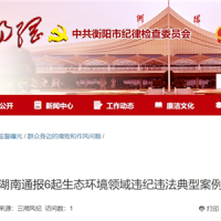 超時、超量、越界采砂!湖南通報6起生態(tài)環(huán)境領域違紀違法典型案例 2起與砂石有關(guān)!